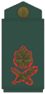 OF7 IDF Aluf.gif