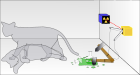 シュレーディンガーの猫