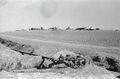 مشمار النقب في 1947