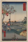 09 - The Teahouse with the View of Mt. Fuji.jpg