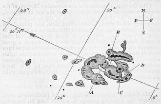 A black and white sketch of a large cluster of sunspots on the surface of the Sun.
