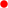 An Nasiriyah