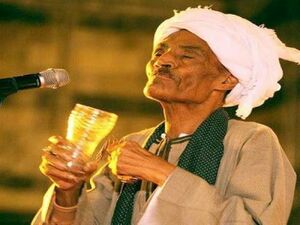 احمدالتوني.jpg