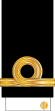 11-IRIN-ENS-(Sleeve).svg