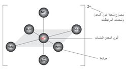 9890-17.jpg