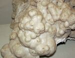 Calcite (Cave-in-Rock Mining District, Illinois, USA) 2 (42590140235).jpg