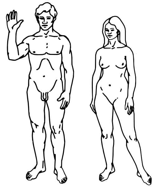 ملف:Human.svg