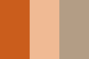 The "Milk Tea Alliance" flag created by netizens. The colours represent (from left) Thai milk tea, Taiwanese milk tea, and Hong Kong milk tea .