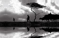 Village photos (277).jpg