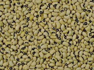 BlackeyeBean.jpg