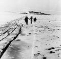 مسگاڤ عام، شتاء 1948