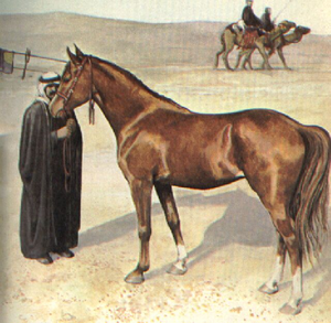 العرب.png