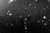 Dia-Jewitt-CFHT image-crop.png
