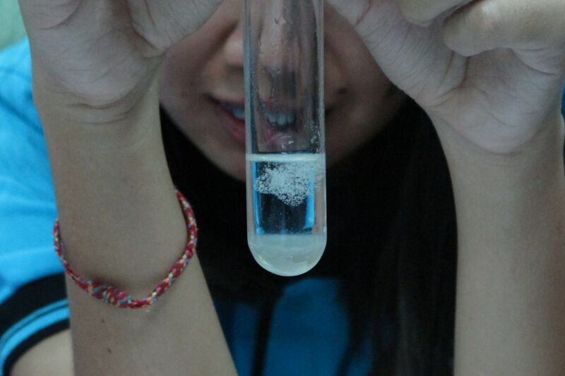 ملف:DNA Extraction.jpg