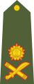 الجيش الهندي