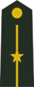 PLAGF-0711-2LT.png
