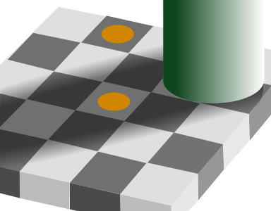 The brown and orange disks of color are objectively identical, in identical gray surrounds, in this image; their perceived color categories depend on what white they are compared to.[8]