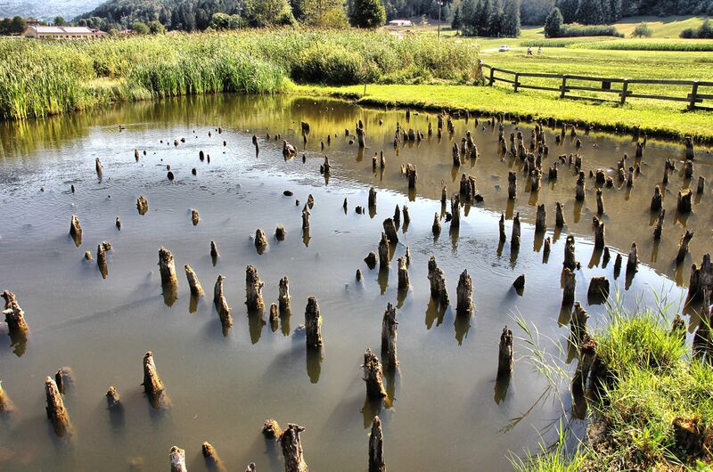 ملف:Palafitte di Fiavè 3.jpg