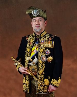 Yang Dipertuan Agong Ke 15.jpg