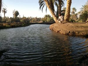 واحة-مرادة.jpg