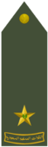 MULAZIM (RSLF).png