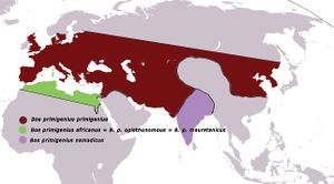 Bos primigenius map.jpg
