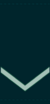 IDF-NCO-GF-1.png