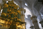 Andalucia (34).png