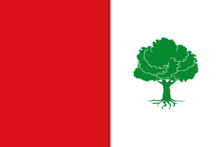 ملف:Bandera de El Peral.svg