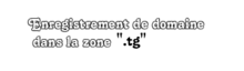 Enregistrement de domaine dans la zone .tg