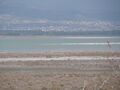 Limassol Salt Lake 10.JPG
