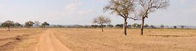 Mikumi panorama.jpg