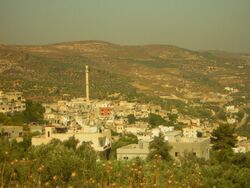 صورة لسيلة الظهر.
