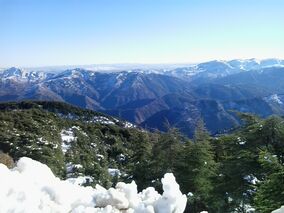 Montagne de Chréa,.jpg
