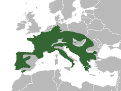 SalamandraSalamandraMap.png