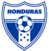 Shirt badge/Association crest