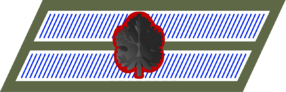 IDF Ranks Rav turai rishon.png