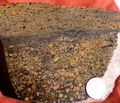 Vadose ferrugenous pisolites (soil) and coastal (tempestite) sediment with birdseyes in an outer platform environment. Aerial diagenesis. Middle liassic, High Atlas, Morocco.