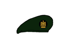 Thunderbolt Beret - Egyptian Army.png