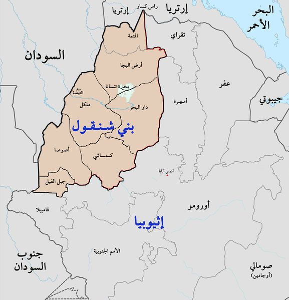 ملف:Benishangul independence9sept2020.jpg