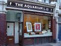 An art gallery is a specialist retailer