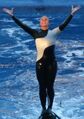 Dawn Brancheau, animal trainer at SeaWorld.