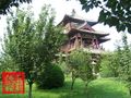 Tang style, Blue Dragon Temple, Xi'an