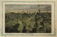 Tobacco grown in Havana, Cuba, c. 1921-1939