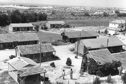 كيبوتس زيكيم عام 1956