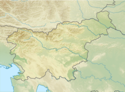 Ljubljana is located in سلوڤينيا