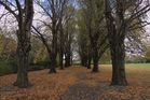 St James Park, Christchurch.jpg