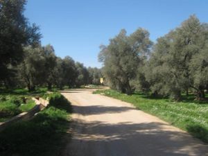 صحنايا2.jpg