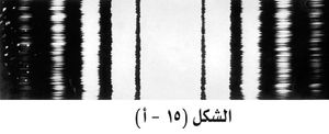 486-51.jpg