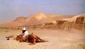 العربي وجواده